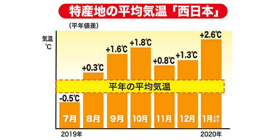 特産地の平均気温「西日本」