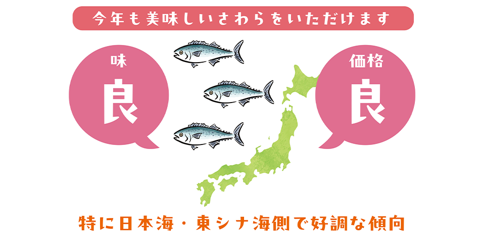 今年の出荷情報