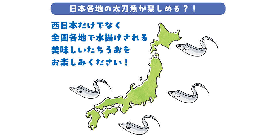 今年のたちうおの出荷情報