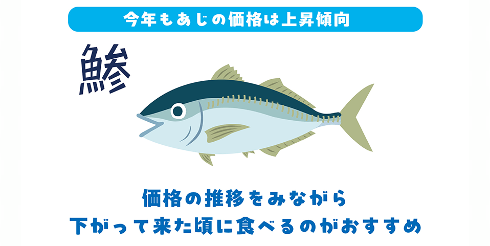 今年のあじの出荷情報