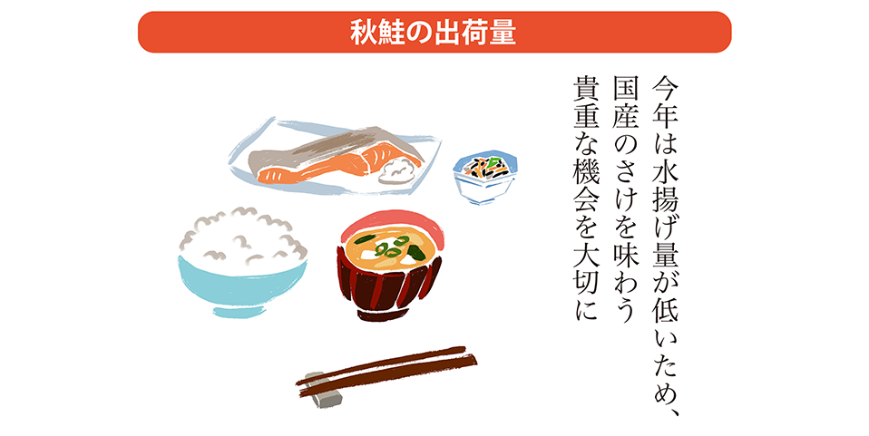 今年の出荷情報