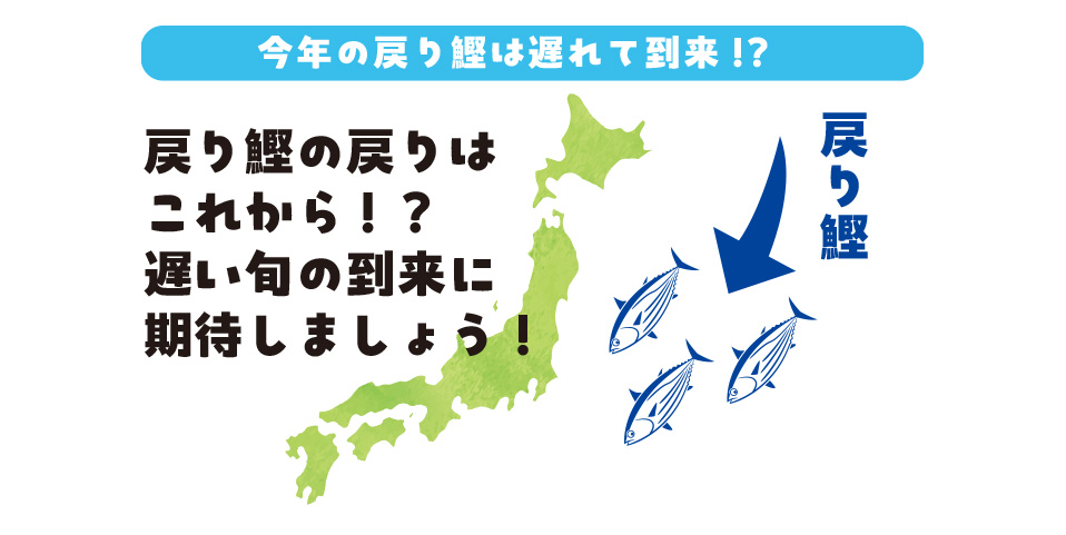 今年のかつおの出荷情報