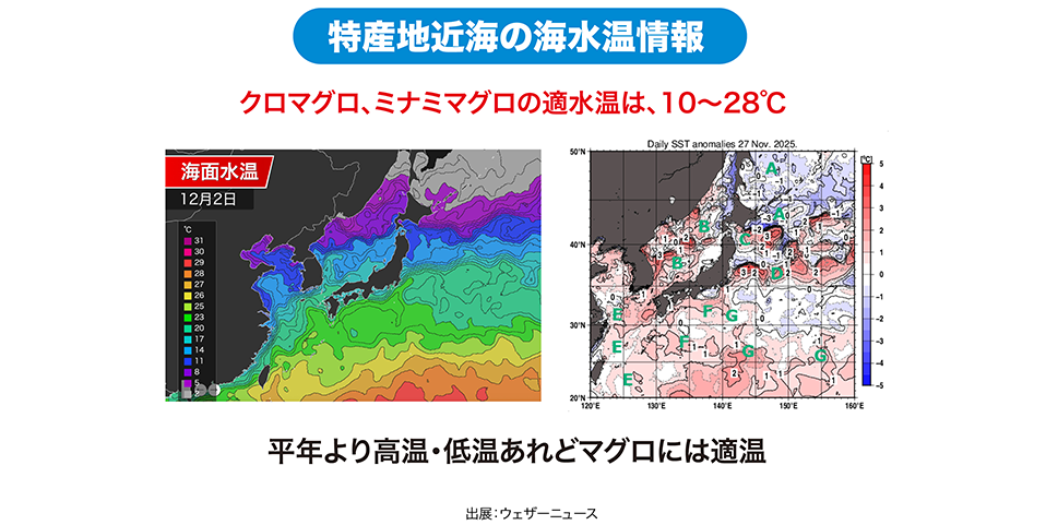 特産地近海の海水温情報