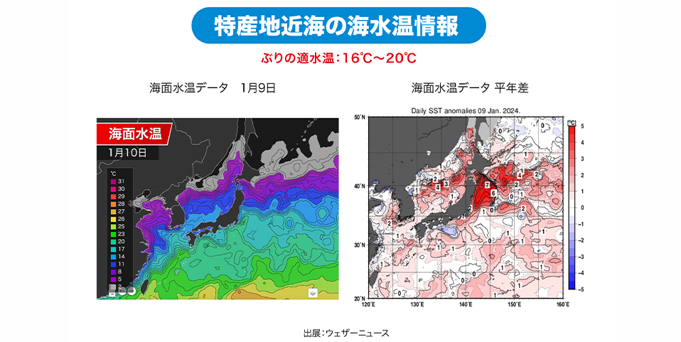 「長崎・島根・千葉」特産地近海の海水温情報
