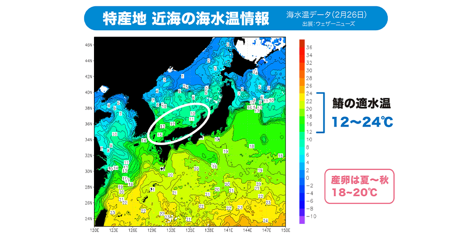 「石川・福井・島根」特産地近海の海水温情報