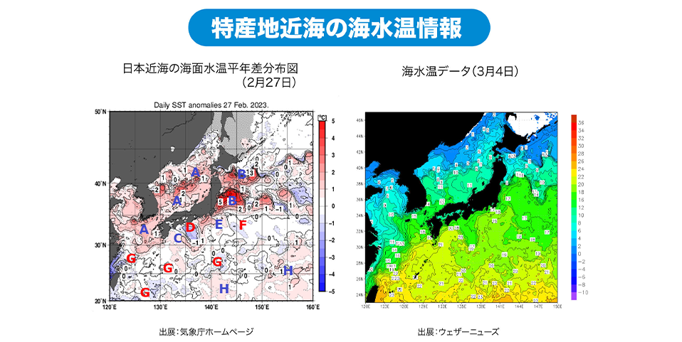 「長崎・福岡・島根」特産地近海の海水温情報