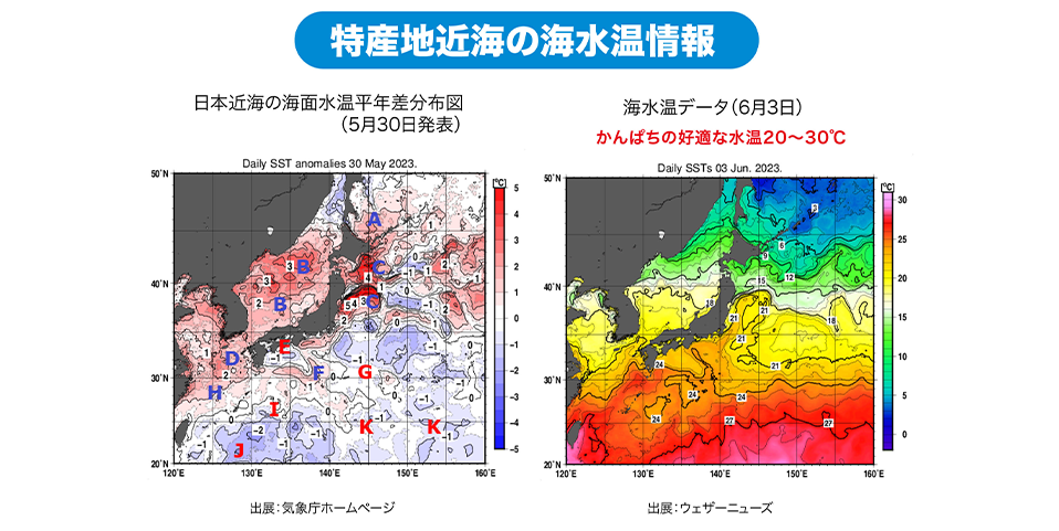 日本近海の海水温（5月下旬以降）