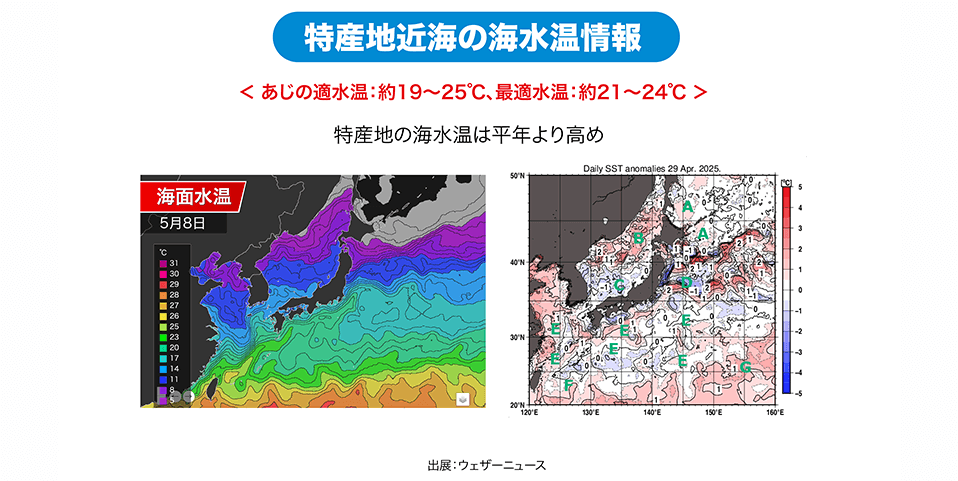 「長崎・島根・宮崎」特産地近海の海水温情報