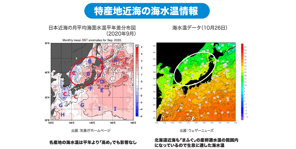 「石川・北海道・島根」特産地近海の海水温情報