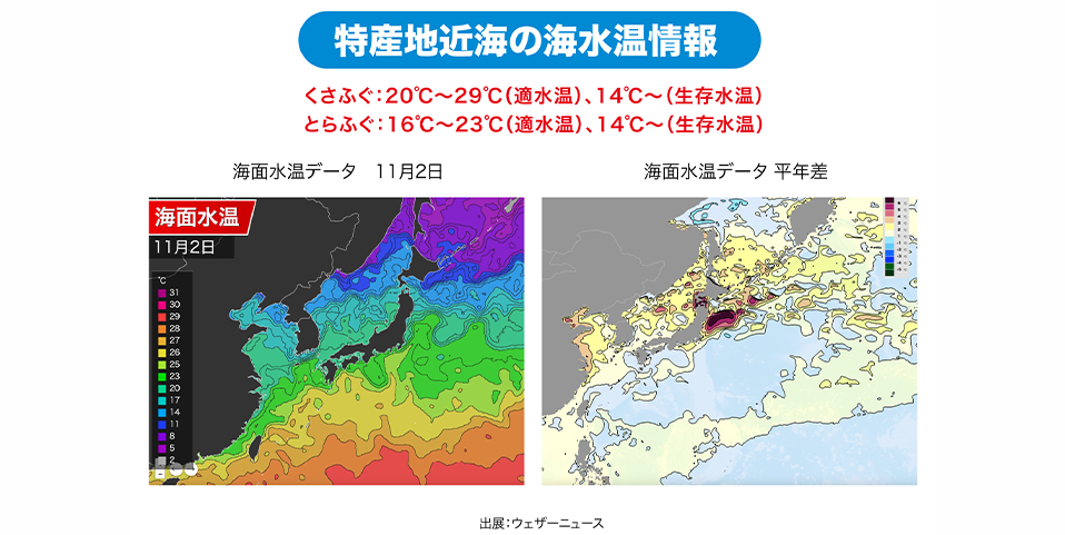 「北海道・石川県・愛知県」特産地近海の海水温情報
