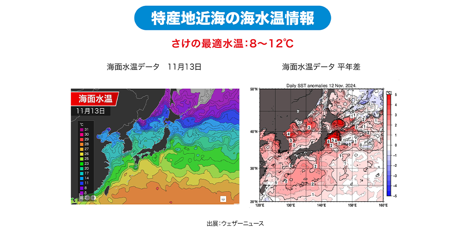 特産地近海の海水温情報