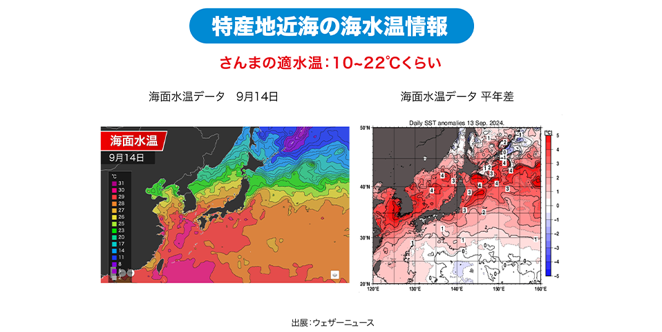 特産地近海の海水温情報