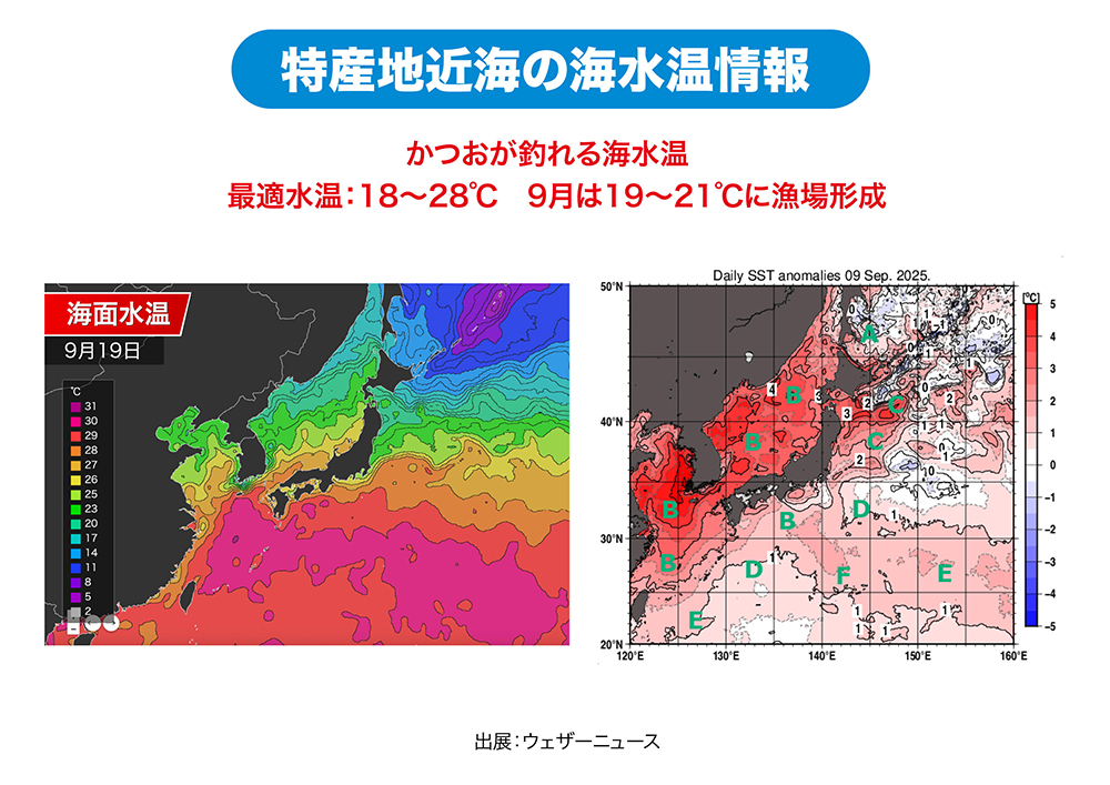 「静岡・宮城・東京」特産地近海の海水温情報