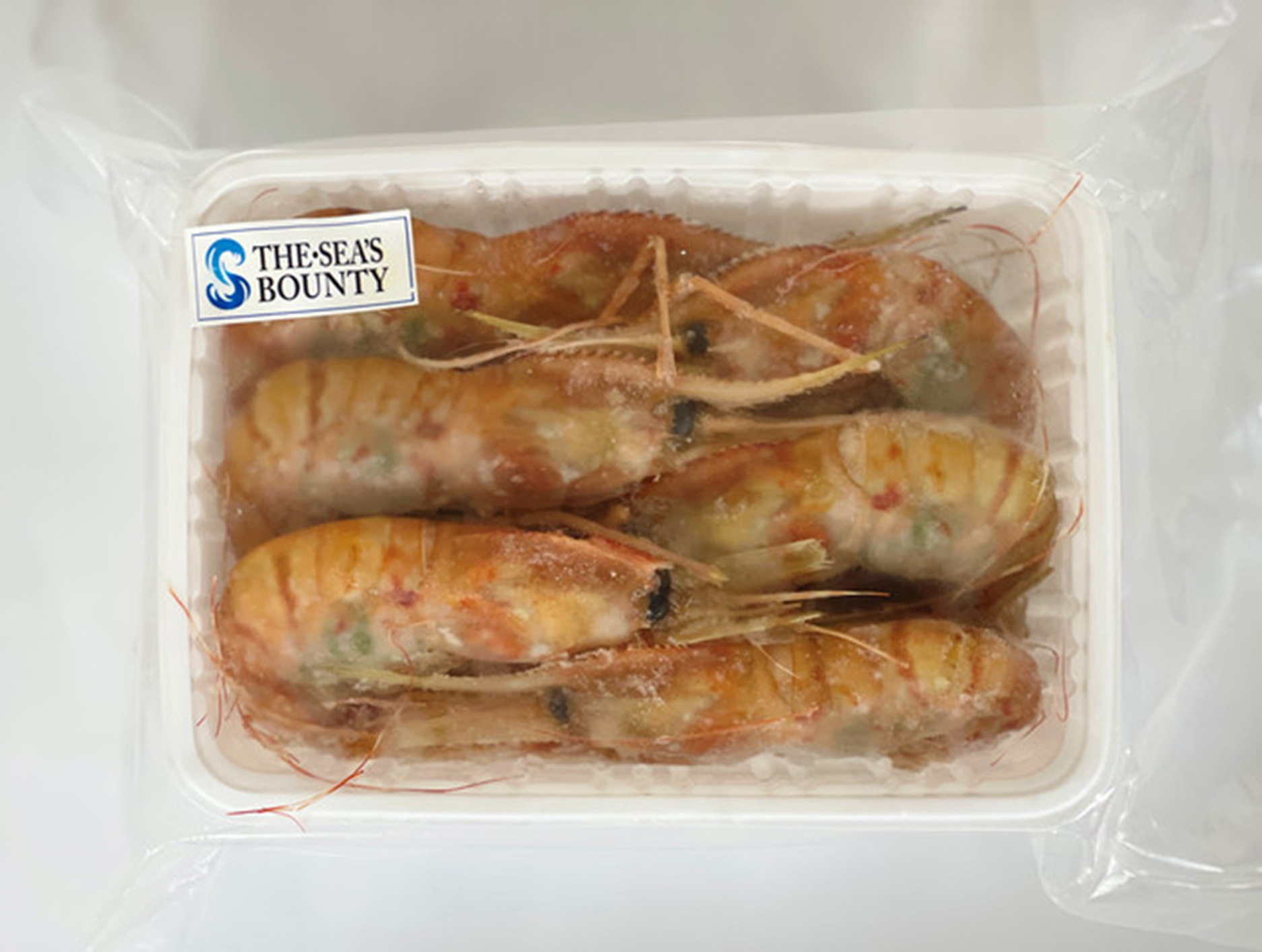 北海道産 冷凍ボタンエビ 旬食予報 お魚応援特設ページ